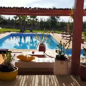 احجز هنا